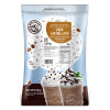 Big-Train-Blended-Ice-Coffee-Caramel-Latte