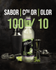 MOJITO-LANZ-05